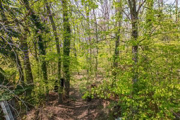 Belle villa familiale avec une forêt privée 3