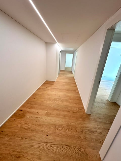 Magnificent apartment directly on Lake Lugano 10