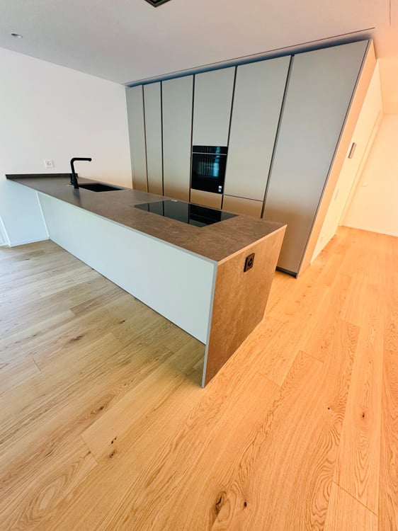 Magnificent apartment directly on Lake Lugano 9