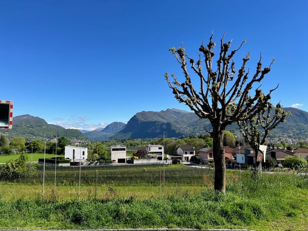NOVAZZANO - TERRENO R2 CON PROGETTO APPROVATO PER 4 ABITAZIONI 4