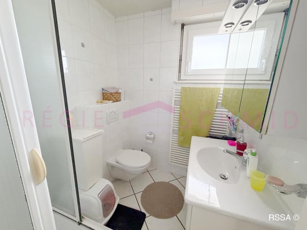 Villa individuelle de 7 pièces à Prangins 11