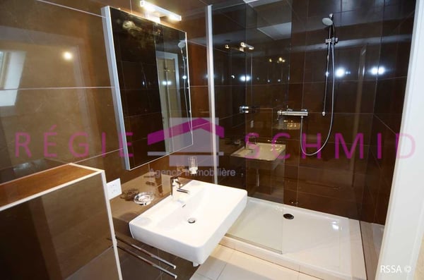 Appartement duplex de 6 pièces à Eysins 13