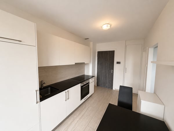 Studio meublé de standing au coeur de Nyon, au calme et a deux pas de la gare. 4