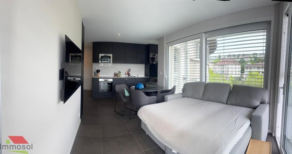 À Louer - Charmant appartement meublé et équipé de 1.5 pièces 3