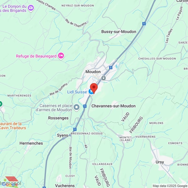Moudon - Surfaces de stockage de 82 m2 et 226 m2 à louer 5