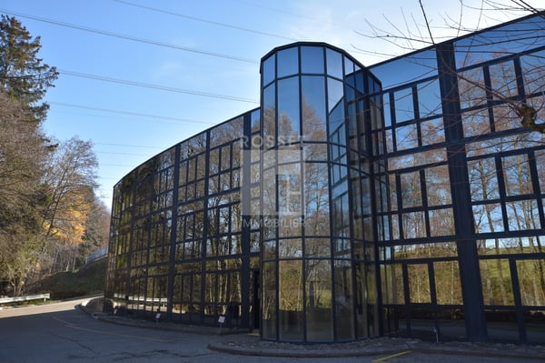 Mont-sur-Lausanne - Surfaces administratives et/ou commerciales 1