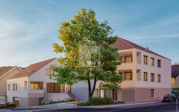 Projet Neuf Adolphe Pasteur 39 7