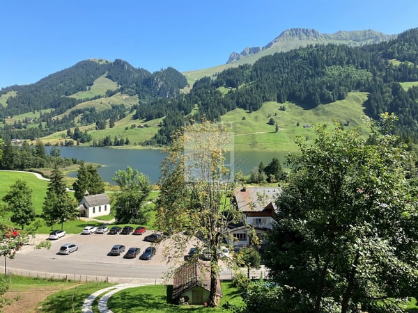 Spacieux chalet de 210m2 à vendre au Lac Noir 1