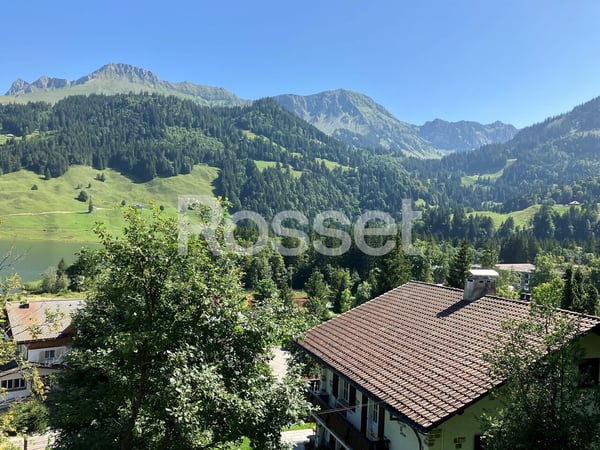 Spacieux chalet de 250m2 à vendre au Lac Noir 3