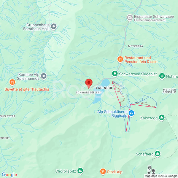 Spacieux chalet de 250m2 à vendre au Lac Noir 4