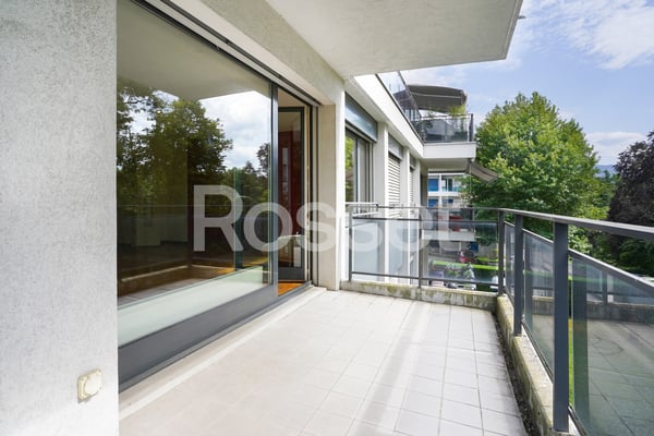 En Exclusivité : Appartement 4 pièces avec terrasse à Carouge 11