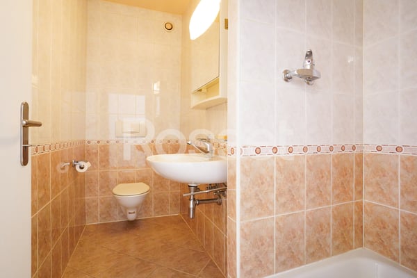 En Exclusivité : Appartement 4 pièces avec terrasse à Carouge 9