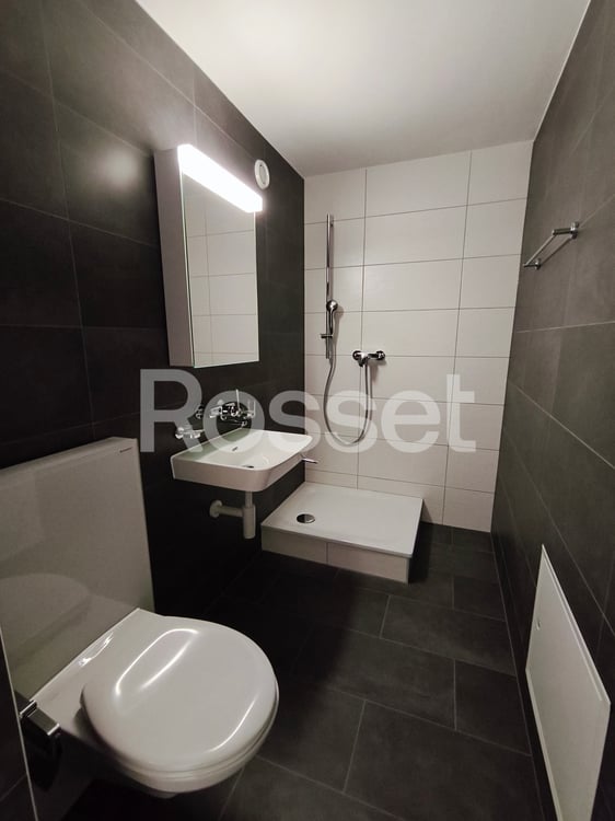 Magnifique appartement 4.5 pièces rénové au 2ème étage 9