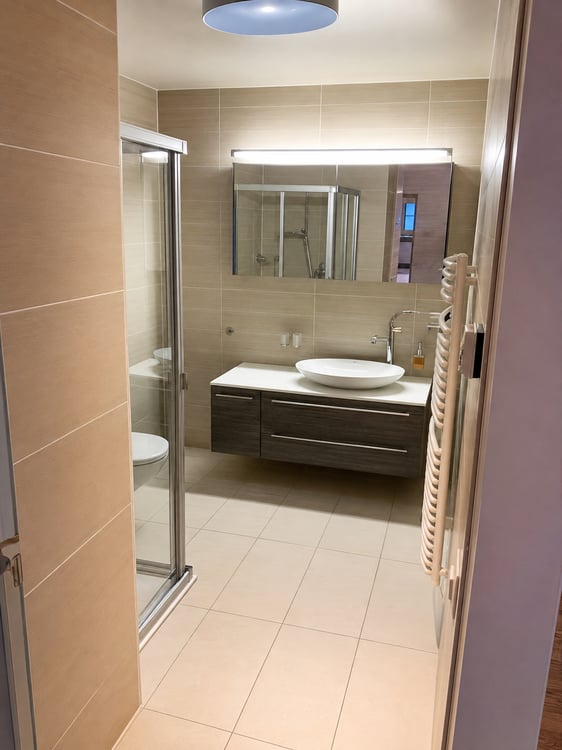 BEL ET GRAND APPARTEMENT EN ATTIQUE 9