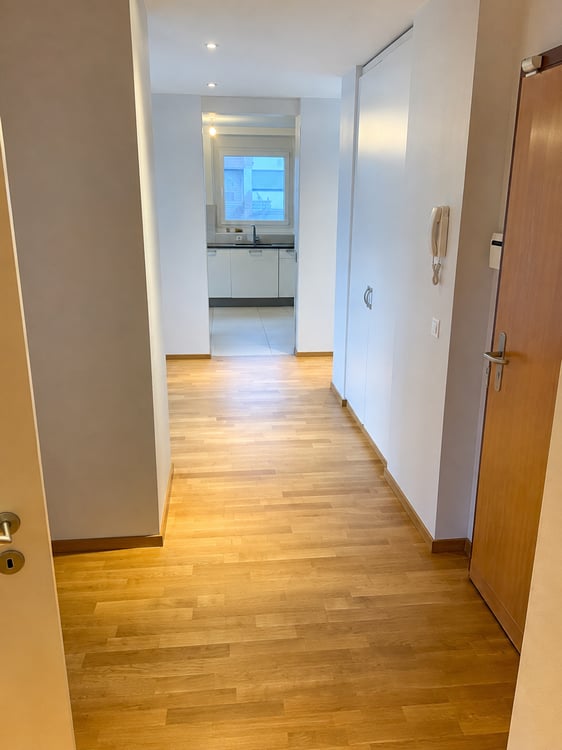 BEL ET GRAND APPARTEMENT EN ATTIQUE 3
