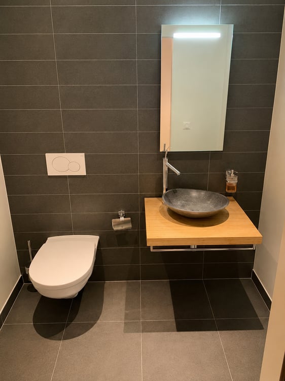 BEL ET GRAND APPARTEMENT EN ATTIQUE 10