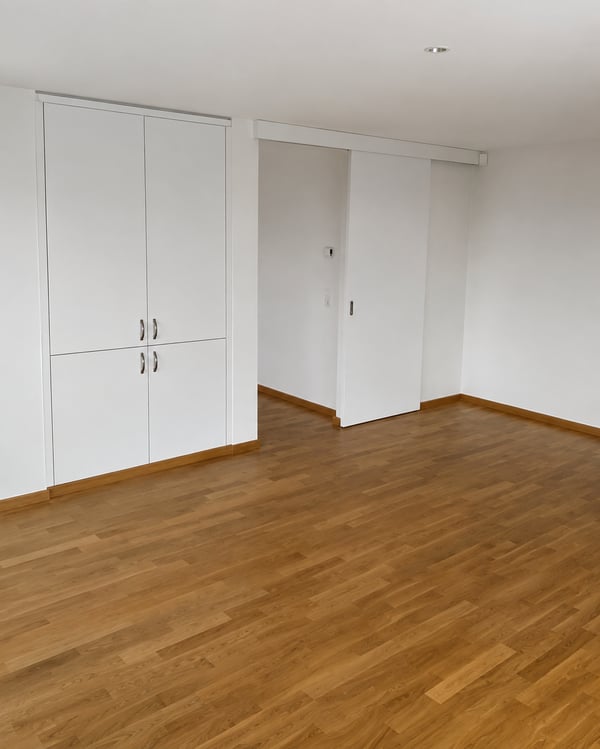 BEL ET GRAND APPARTEMENT EN ATTIQUE 4