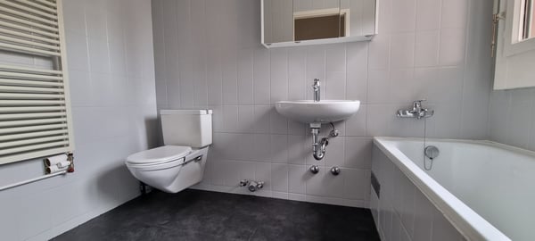 GRAND APPARTEMENT DE 6 PIÈCES 6