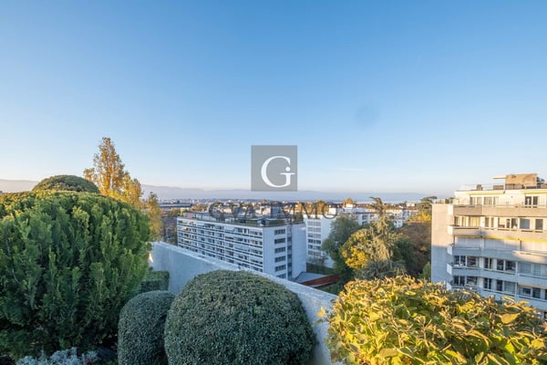 Magnifique attique avec grande terrasse et vue spectaculaire 1