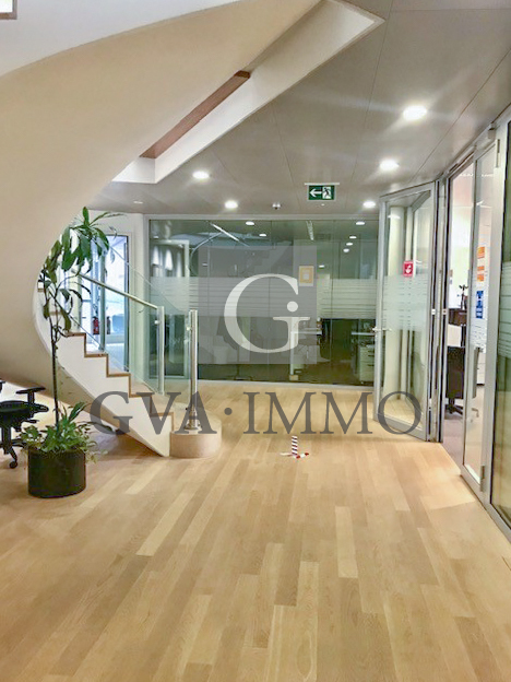 Superbes bureaux dans le quartier de Malagnou 4