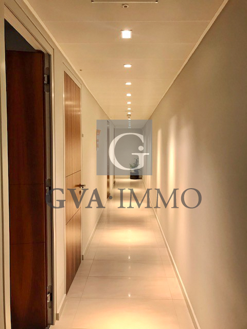 Superbes bureaux dans le quartier de Malagnou 3