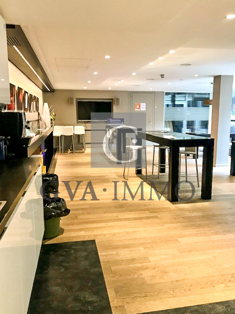 Superbes bureaux dans le quartier de Malagnou 5