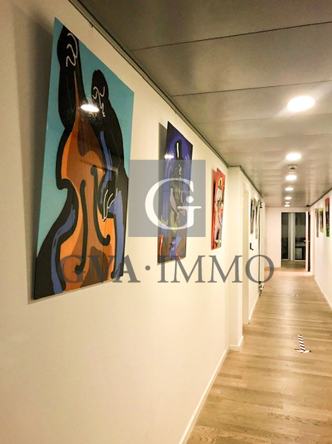 Superbes bureaux dans le quartier de Malagnou 9