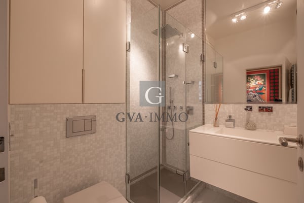 Superbe appartement au centre-ville de Genève avec grande terrasse 5