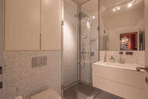 Superbe appartement au centre-ville de Genève avec grande terrasse 5