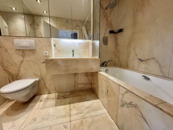 Bel Attique avec terrasse et vue dégagée à 180 degrés 9