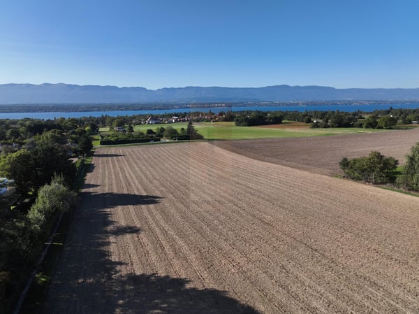 En Exclusivité : Townhouse avec vue lac et piscine dans une résidence haut de gamme 5