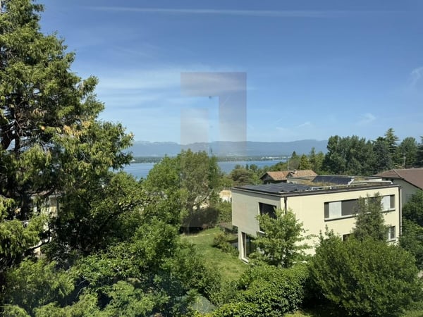 Bel appartement familial au centre de Vesenaz avec vue lac 7
