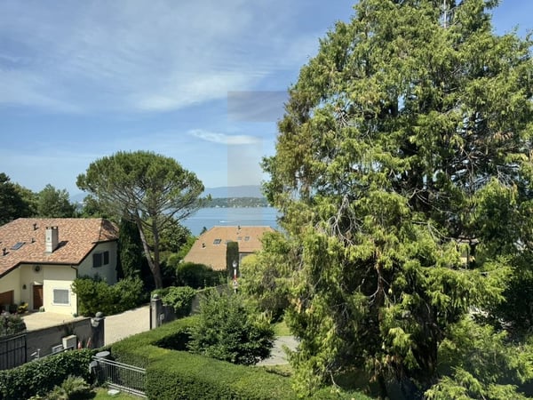 Bel appartement familial au centre de Vesenaz avec vue lac 6