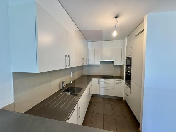 Bel appartement familial au centre de Vesenaz avec vue lac 4