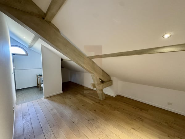 Belle villa contemporaine au coeur de la campagne genevoise 12