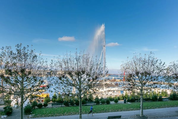 OFF-MARKET - Magnifique appartement de Maître traversant face au lac 2
