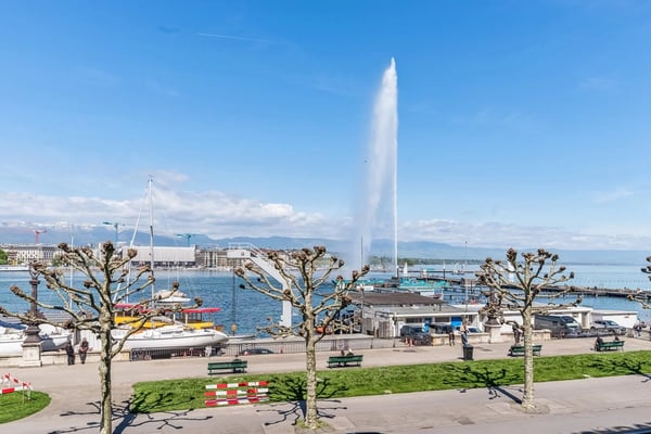 OFF-MARKET - Magnifique appartement de Maître traversant face au lac 1