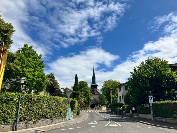 Majestueuse Villa de Caractère à Jussy – 11 Pièces, 350 m² 6