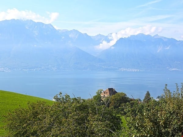 DANS LES HAUTEURS DE MONTREUX - SPLENDIDE APPARTEMENT 2