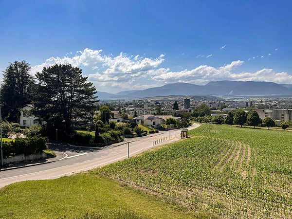 YVERDON-LES-BAINS - MAGNIFIQUE REZ-DE-JARDIN - 1.5 PIECES 2