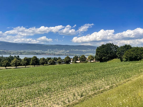 YVERDON-LES-BAINS - MAGNIFIQUE REZ-DE-JARDIN - 1.5 PIECES 1