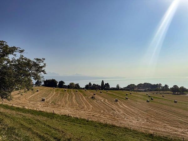 GRANDVAUX - DUPLEX D'EXCEPTION - 1 PIECES 2