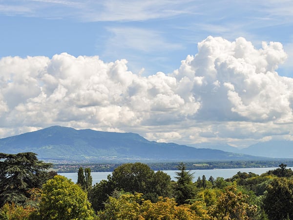 HAUTS DE NYON - BELLE MAISON - 2.0 PIECES 2