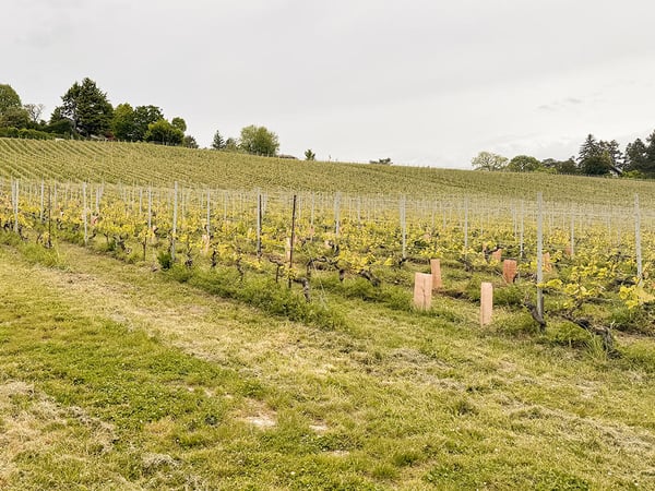 HAUTS DE NYON - BELLE MAISON - 2.0 PIECES 3