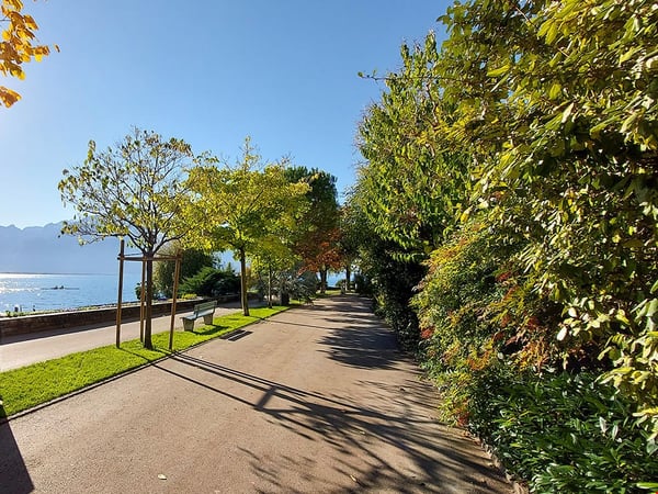 MONTREUX - PROPRIETE EXCLUSIVE - 2.0 PIECES 2