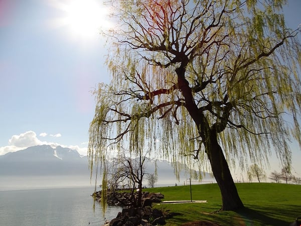 CLARENS - MAGNIFIQUE APPARTEMENT DE RENDEMENT - 1.5 PIECES 3