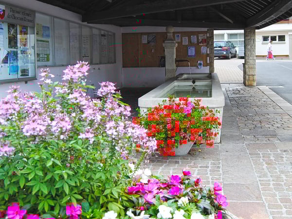 LAUSANNE NORD - SPACIEUX APPARTEMENT EN DUPLEX 4