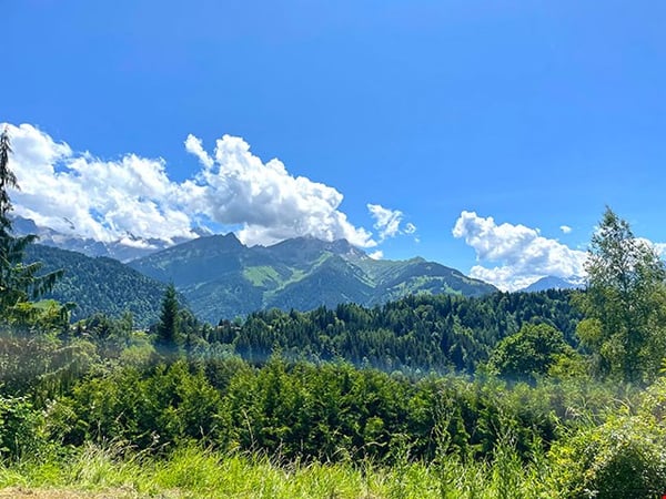 Aperçu de l'image de l'immobilier