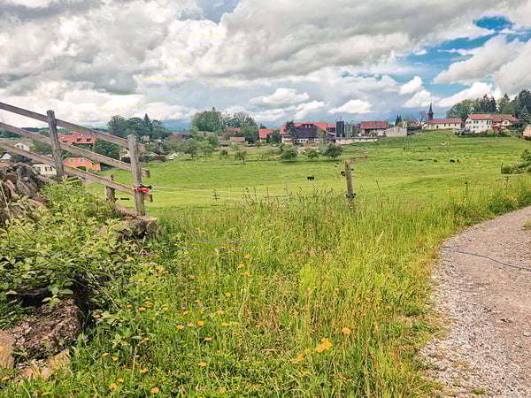 SERVION - GRAND APPARTEMENT DE STYLE ET DESIGN - 1.5 PIECES 1