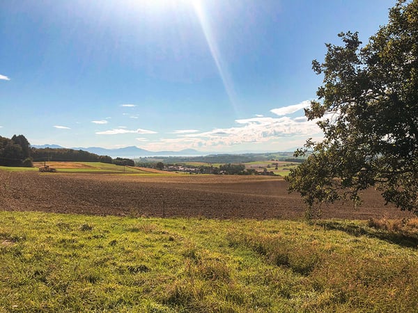 Aperçu de l'image de l'immobilier